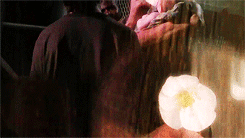 carlschandler:  Daryl Dixon in every episode - Season 7 Trailer I believe this one bloomed for your little girl. 