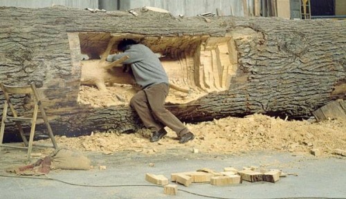 scientificphilosopher:  The artist Giuseppe Penone removes the growth rings on a tree to reveal the 