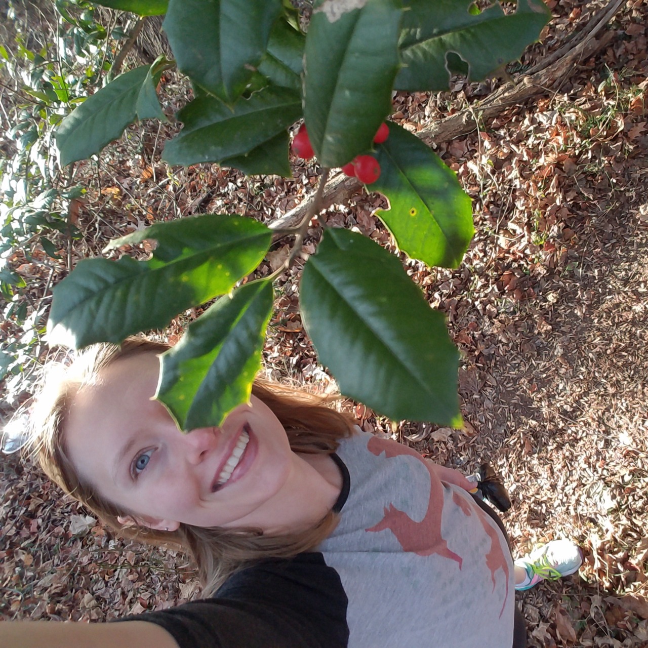 Merry Christmas! It was warm and sunny but at least I found some holly berries in