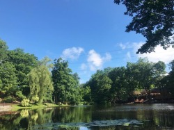 Another camp weekend 🏞 (at Willow Lake Day Camp)