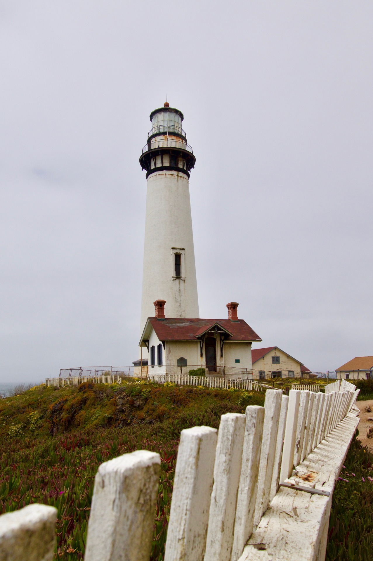 emeraldman1964:elegantstrings:  the-wonder-beards: Pigeon Point Lighthouse California