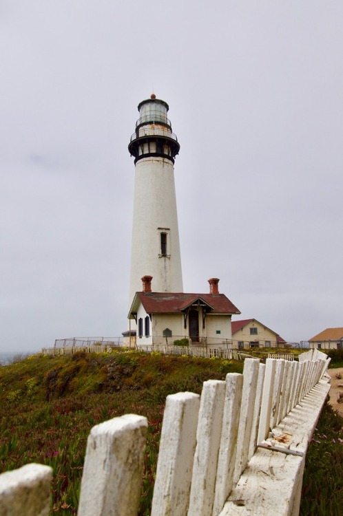 elegantstrings - the-wonder-beards - Pigeon Point...