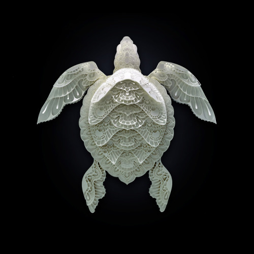 theartofanimation:  Patrick Cabral   -  https://dribbble.com/darkgravity  -  https://www.facebook.com/DarkgravityOfficial  -  https://www.instagram.com/darkgravity/?hl=es  -  https://society6.com/darkgravity  -  https://www.pinterest.es/darkgravity