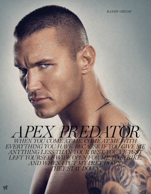 youcantstopthehustle:  wishuponawwestar:  Randy Orton quote   I wanna stay down