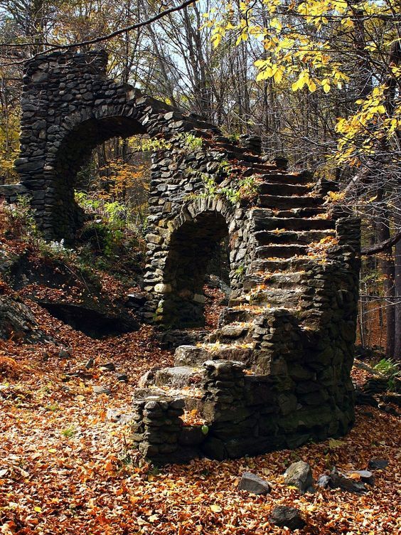 sixpenceee:A stairway located in the woods. This is in Madame Sherri Forest, Chesterfield,