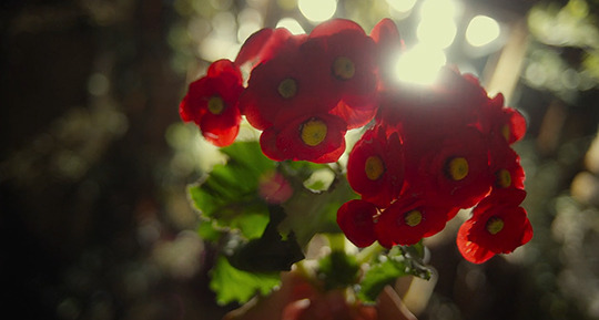 wkwz: The Silenced (2015) dir. Lee Hae Young