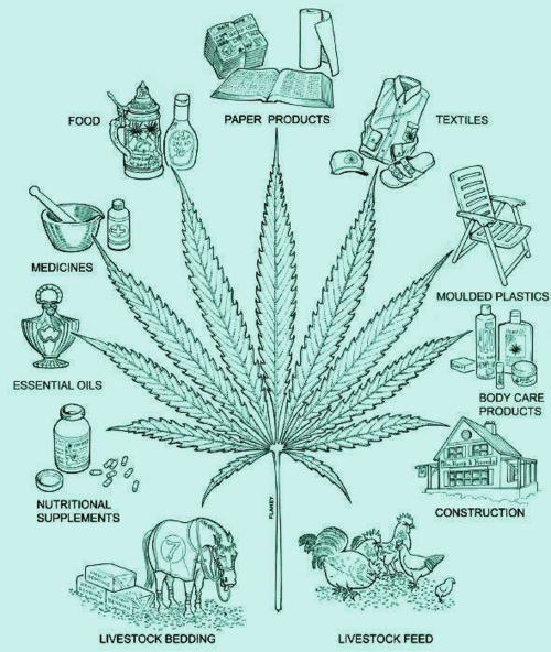 lalalaindigo:  Follow to the next dimension ॐ 