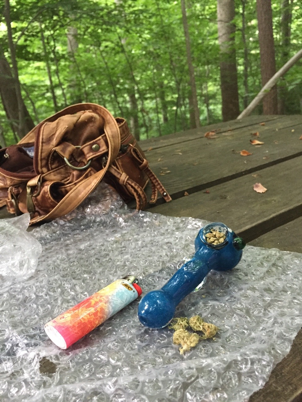 battyyy:  yet another nature sesh