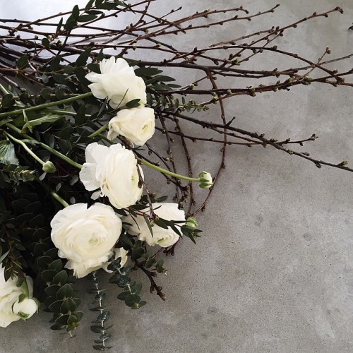 jessica154blog:  via elisabeth_heier