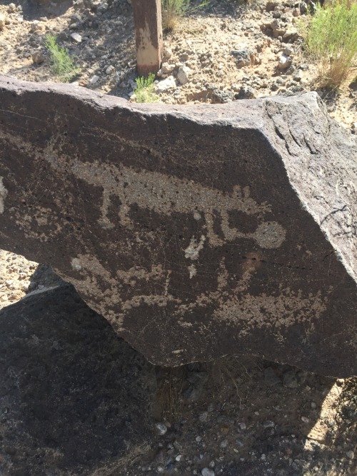 wtfarthistory: Petroglyph National Monument, Albuquerque, New Mexico