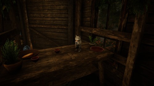 Cats of Eastshade pt. 2
