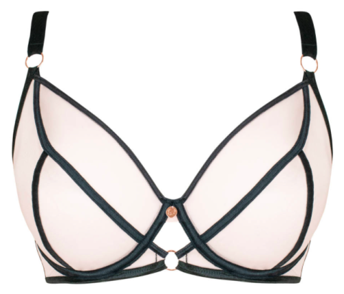 Exposed by Scantilly / 30-38 DD-HH / Get 10% off the Curvy Kate website with the code BRASDENTELLE u