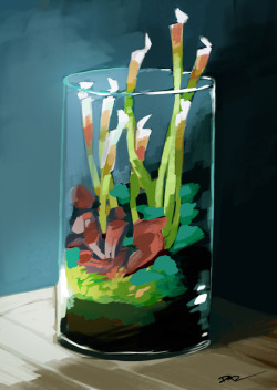 tohdaryl:  Speed painting of a terrarium. 