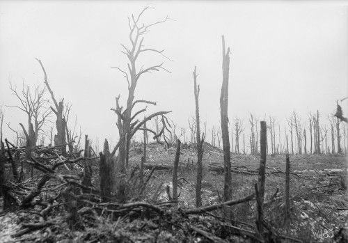 soldiers-of-war:Original caption: “Cantigny, France, April 14, 1919. Site of the former villag