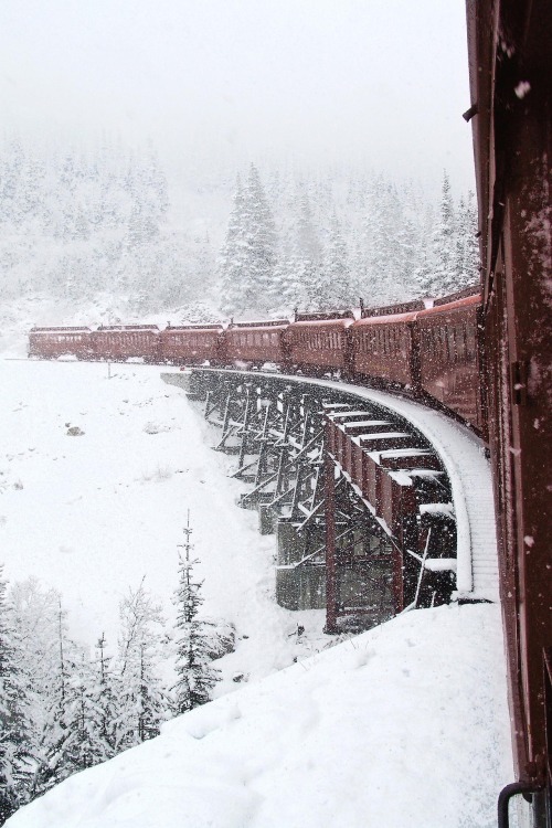 fineapple4u:  tx-gentleman:  - Winter’s train  💙