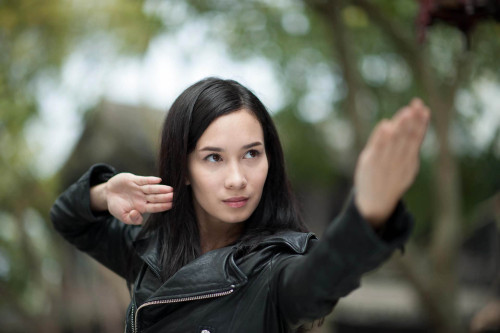saberfiretiger:Asian Actresses not playing Motoko Kusanagi