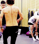 harryhershel-blog:  1D Vault 2 - 2013 Memories 