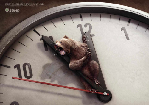 forestkingdoms:  “These advertisements address different types of issues, but they’re all about giving a voice to the voiceless. Most of us love animals, and yet we remain ignorant of or apathetic towards the abuse of domestic or circus animals