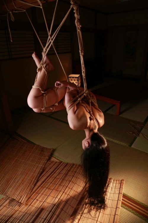 we-electronicnightmarecollection: kitazaki1.tumblr.com  1508 1610_01  【Japanese Shibari & kinba