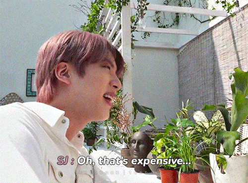 Confidence Level : Kim Seokjin
