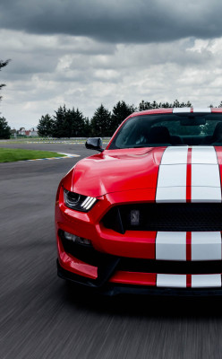 h-o-t-cars:    2015 Ford Mustang Shelby GT350  