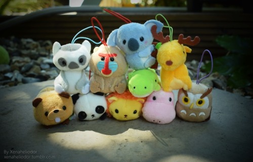 ~ Plush Hiking ~One small step for us, a great adventure for Puchimaru kind - the Happy Zoo friends 