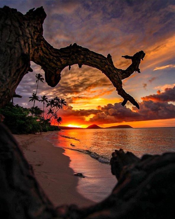 s-usans-blog:A Slice of Paradise, by Jeremy Ganitano