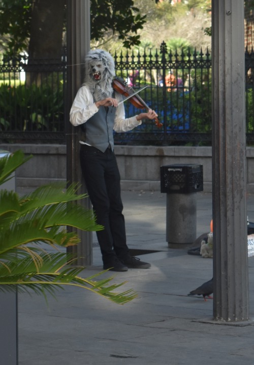 bodaciousbanshee:cemeteryconservation:Nothing to see here, just a street corner in New Orleans…..Thi