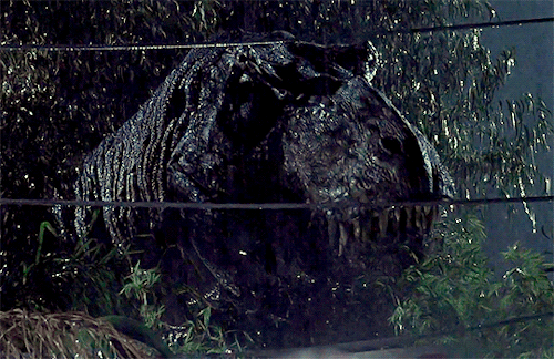 movie-gifs: Jurassic Park (1993) dir. Steven Spielberg