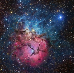 cosmicevanthorizon:  The Trifid Nebula, an emission nebula in the constellation of Sagittarius 5,200 lightyears away. 