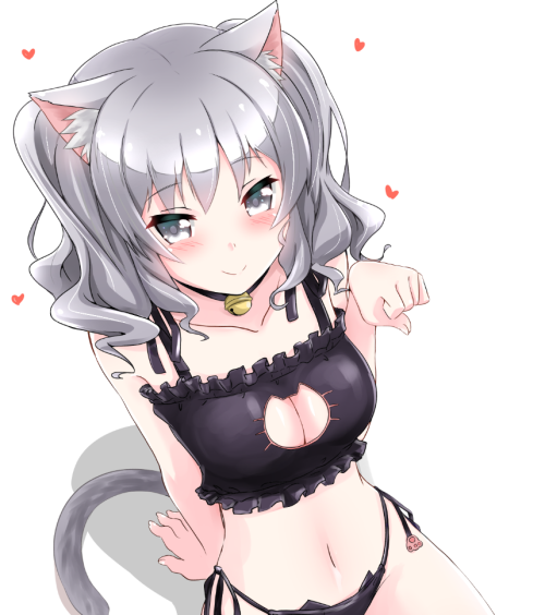 cat bra