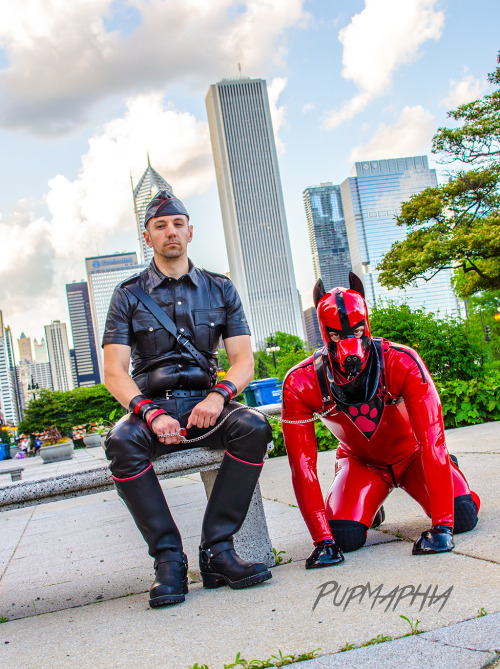 pupmaphia:  Sir and Puppy in Chicago for #IML2016 