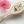 docilegurl: