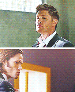 bellahunt:  Team Free Bad Cops 