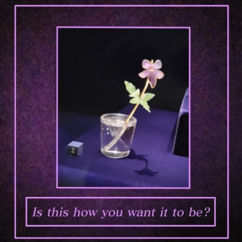 You Can't Go Back