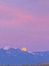 Porn softwaring:Super pink moonrise tonight over photos