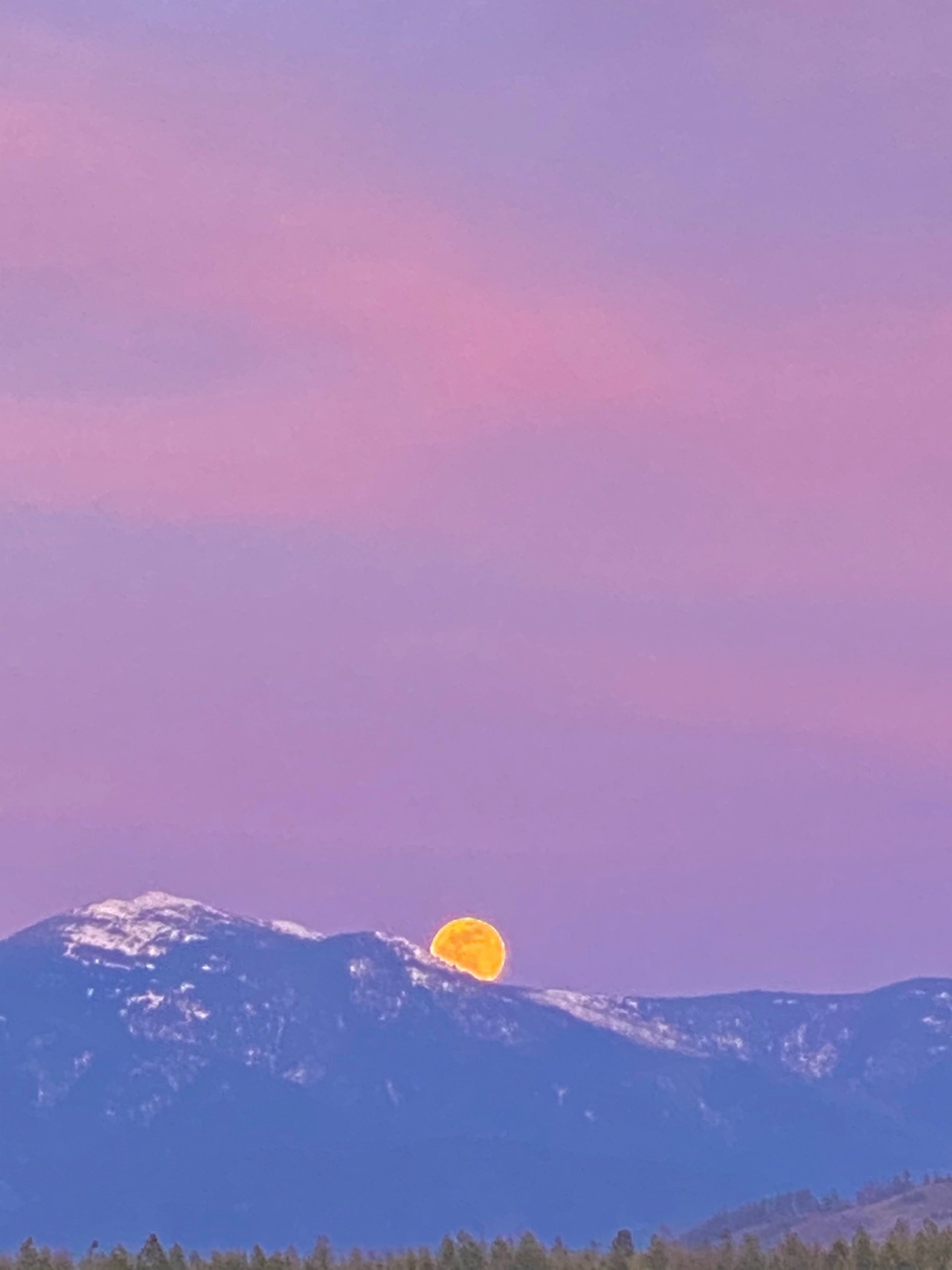 softwaring:Super pink moonrise tonight over adult photos