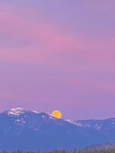 Porn photo softwaring:Super pink moonrise tonight over