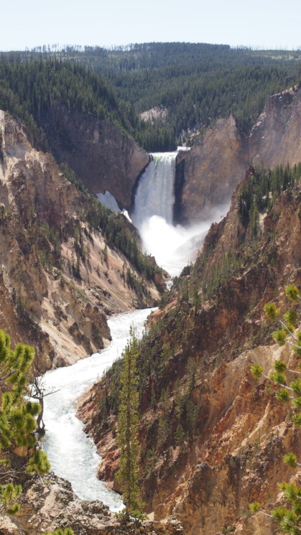 breathtakingdestinations - Yellowstone National Park - Wyoming -...