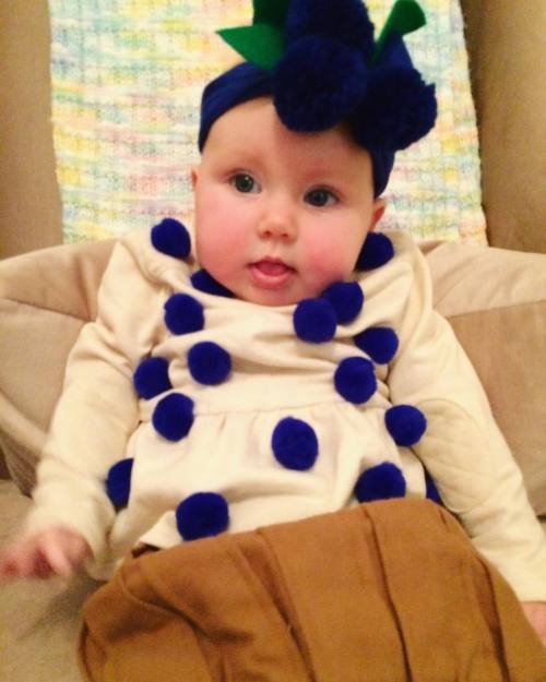 our little rueberry muffin, all dressed up for her first halloween. (many thanks to my amazing mom f