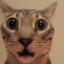 kktdsr