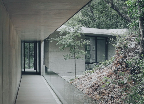 House In Monterrey / Mexico Tadao Ando