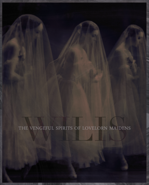 wickedends:Wilis, or Vilas, are vengeful Slavic witch-spirits; in life they were maidens deceived 