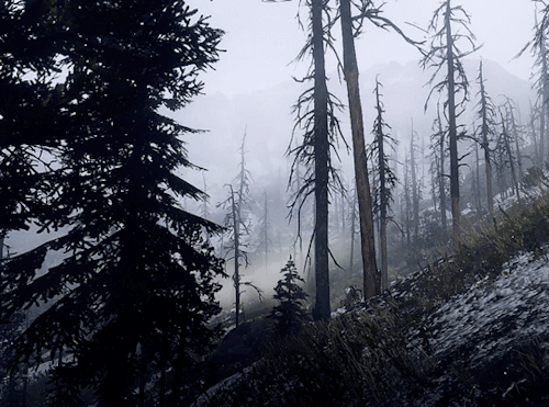 wintersongstress: RED DEAD REDEMPTION II  • scenery [73/?] — A Soft, Morning Snowfall in Grizzlies W
