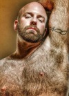 Porn hairymenforu: photos