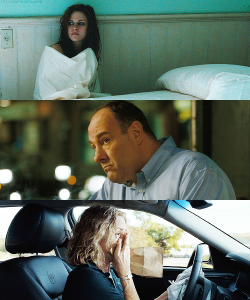 felcieinfangirlland:  movies seen in 2013→ Welcome to the Rileys (2010) 