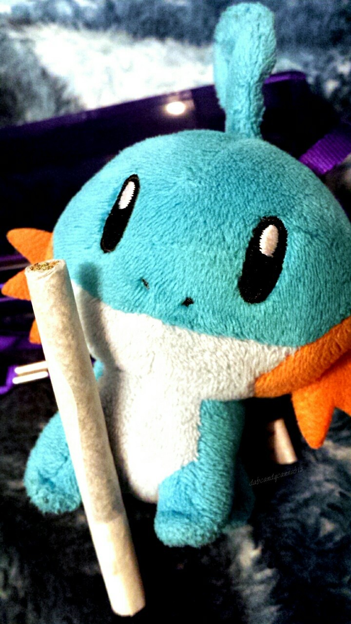 dabcandycannabis:  Mudkip likes his joints. 😊