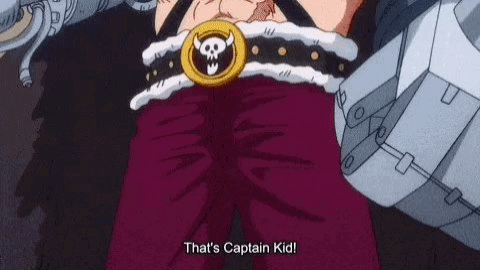 (I Don't) Wish You The Worst (Eustass Kid X AFAB!Reader)