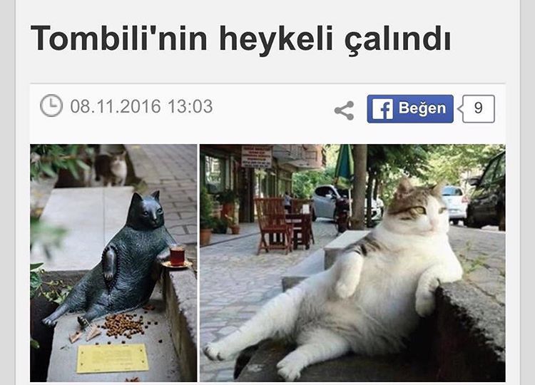 Tombilinin heykeli çalındı