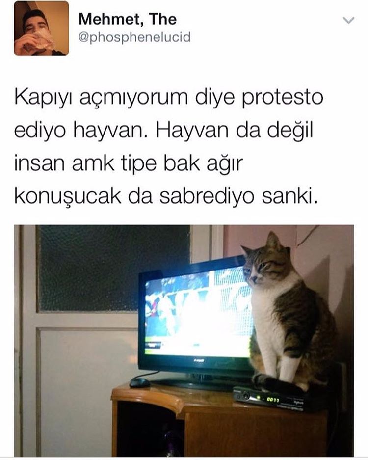 Kapıyı açmıyorum diye...